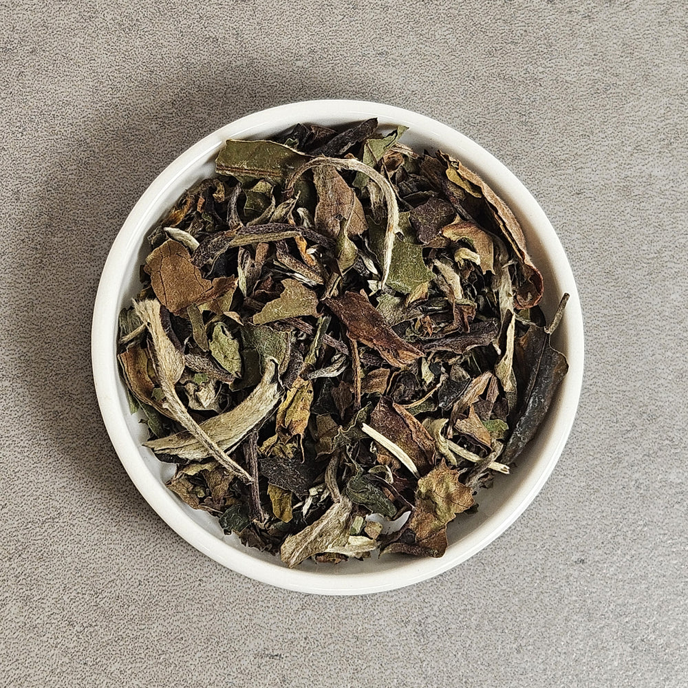 Chinese Tea Collection | Shibui Tea